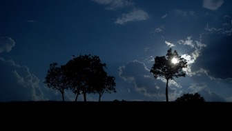 moonlit night