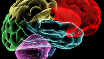 power of the mind