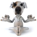 Meditation instruction