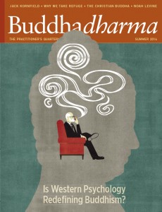 Buddhadharma Magazine Cover