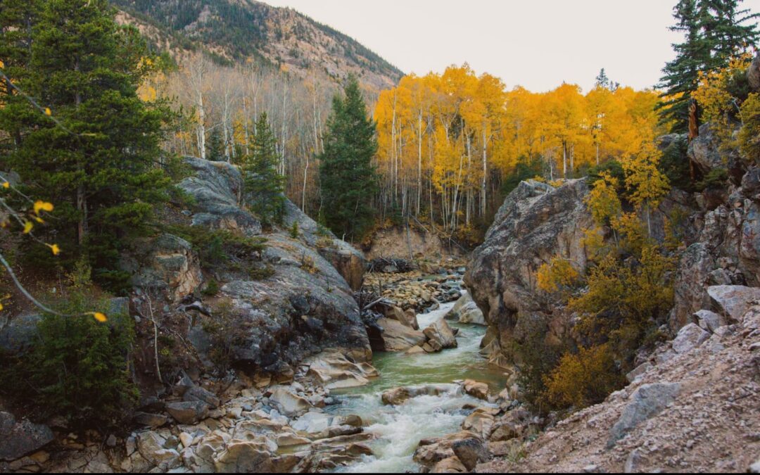 Dream Yoga: Going Deeper – Beyul Retreat Center, Colorado
