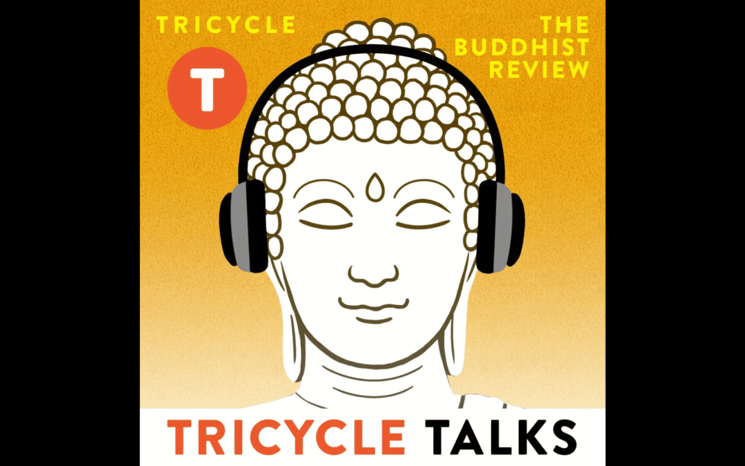 A Beginner’s Guide to Dark Retreat – Andrew on Tricycle Talks Podcast